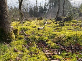 Vakantiehuis Hellendoorn Omgeving 19