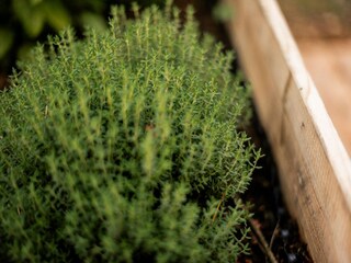 Maison de vacances Hellendoorn  37