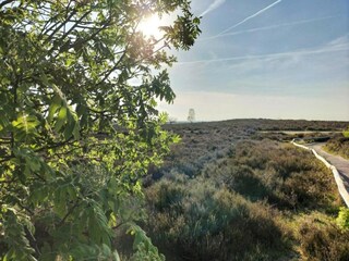 Casa per le vacanze Hellendoorn Ambiente 26