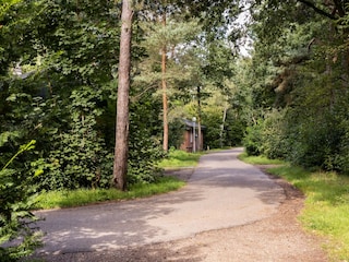 Ferienpark Putten Umgebung 13
