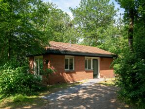 Vakantiepark Fijne bungalow met afwasmachine, bij de Veluwe - Put - image1