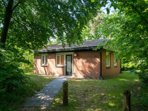 Vakantiepark Fijne bungalow met afwasmachine, bij de Veluwe - Put - image1