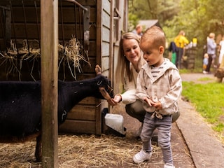 Ferienpark Putten  40
