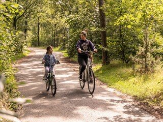 Parco vacanze Putten Ambiente 14