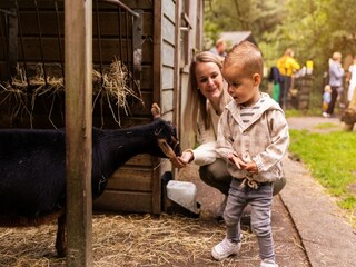 Parco vacanze Putten  18