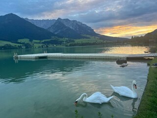 IMG_9749