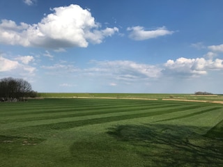 Ein perfekter Sommertag - kein Filter