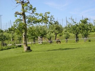 Ferienwohnung Meckenbeuren Ausstattung 6