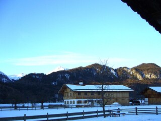 Blick vom Haus nach Süden