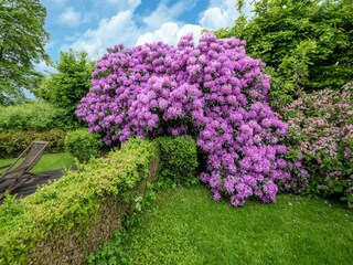 Ferienhaus Spa Außenaufnahme 3
