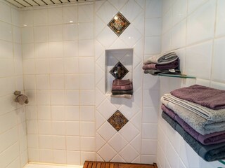 Holiday house Spa Features 34