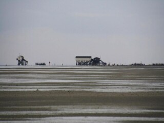 Appartement St. Peter-Ording Omgeving 14