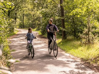 Parc de vacances Putten Environnement 15