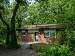 Vakantiepark Leuke bungalow met open haard, vlakbij de Veluwe - Put - image1