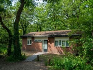 Ferienpark Schöner Bungalow mit Kamin, in der Nähe der Veluwe - Putten - image1