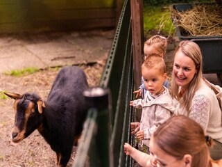 Vakantiepark Putten  31