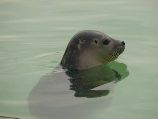 Casa per le vacanze De Cocksdorp Ambiente 21