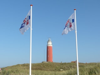 Holiday house De Cocksdorp Environment 27