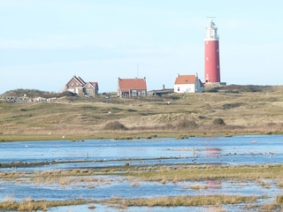 Holiday house De Cocksdorp Environment 24