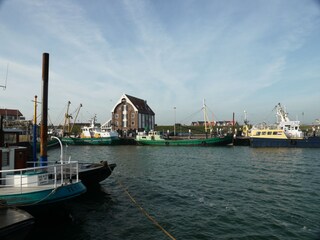 Casa per le vacanze De Cocksdorp Ambiente 18