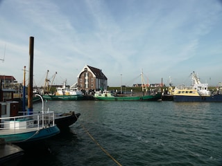 Holiday house De Cocksdorp Environment 18