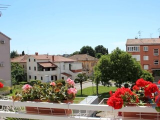 Holiday house Buići Outdoor Recording 3