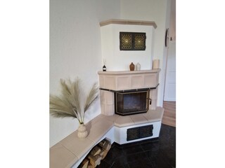 Kaminofen (ohne Holz)