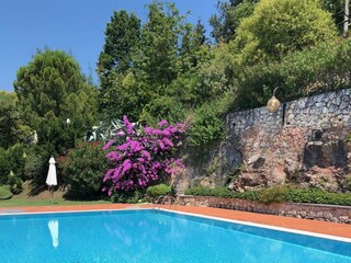 Panorama Pool mit Gartenanlage