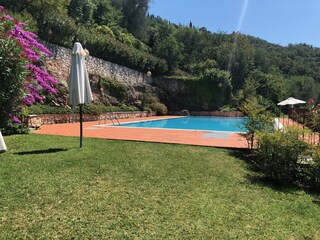 Viel Liegefläche rund um das Panoramapool