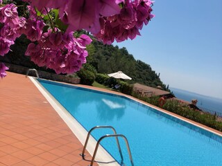 Großer Panoramapool in der Gartenanlage