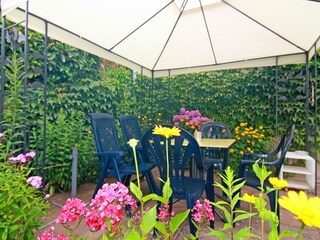Apartment Warin Outdoor Recording 4