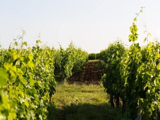 Casa per le vacanze Blaignac Ambiente 28