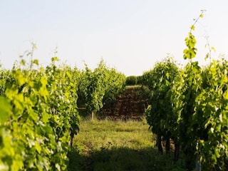 Ferienhaus Blaignac Umgebung 28