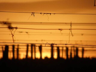 Casa de vacaciones Blaignac Entorno 32