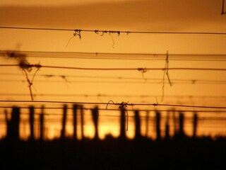 Vakantiehuis Blaignac Omgeving 36