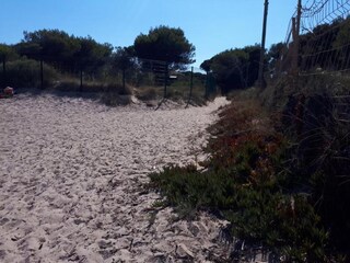 Parque de vacaciones Hyères Entorno 27