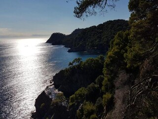 Vakantiepark Hyères Omgeving 56