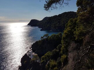 Parque de vacaciones Hyères Entorno 33