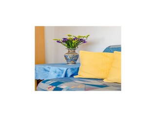 Appartement Vranjic Kenmerken 3