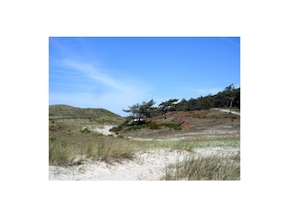 Appartamento per vacanze Bergen (Holland) Ambiente 14