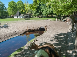 Appartamento per vacanze Bergen (Holland) Ambiente 18