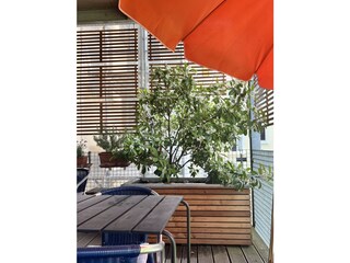 Frühstück auf dem Balkon