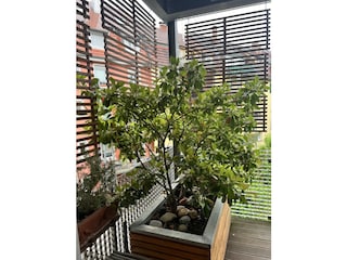 BALKON zum Entspannen