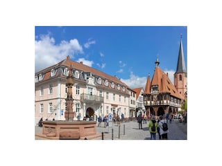 historisches Rathaus Michelstadt