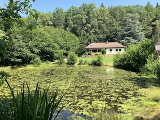 Blick vom Teich zum Haus