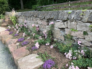 Blumen am Parkplatz