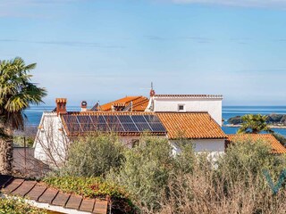 Ferienhaus Buići Außenaufnahme 7
