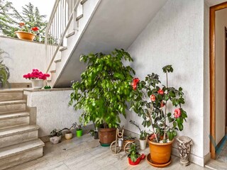 Ferienhaus Buići Außenaufnahme 9