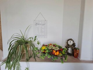 Appartement Zwickau  33