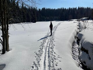 Appartamento Zwickau Ambiente 24